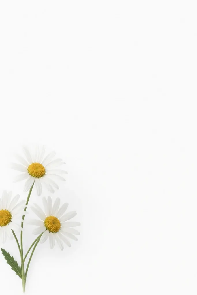 A small cluster of three daisies floating near the lower left of the page. The rest of the page is blank, with only a few stems and one leaf. Petals are drawn in clean, minimal strokes.