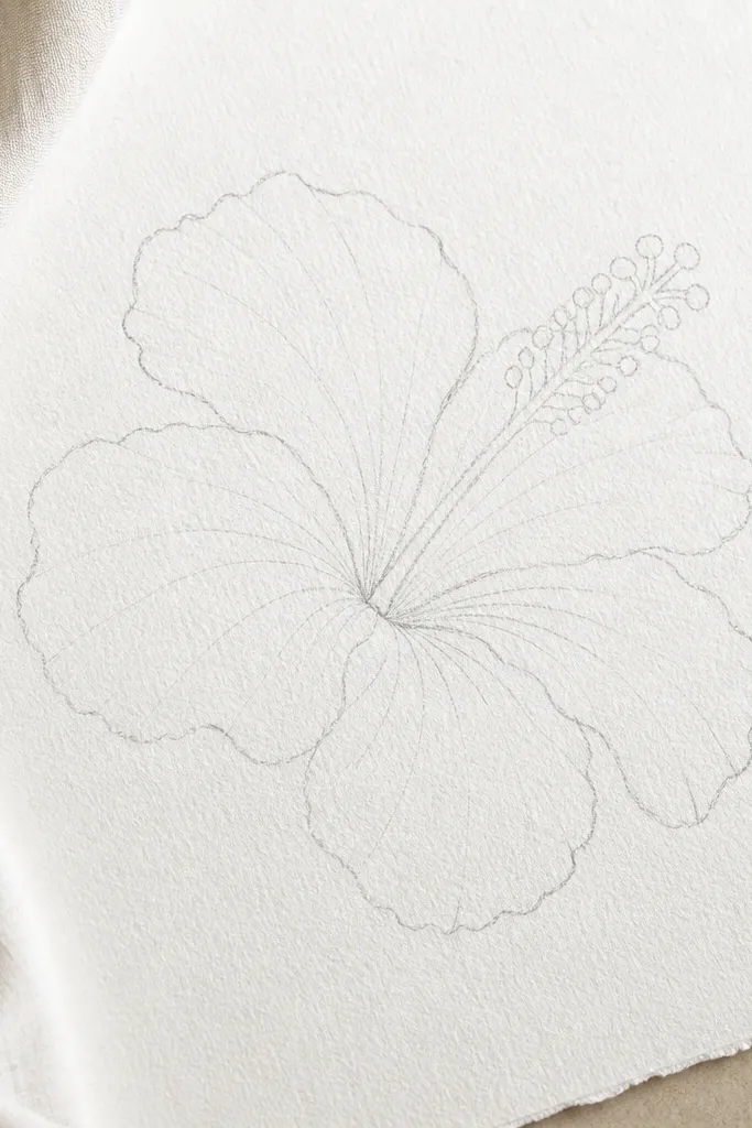 A hibiscus outline lightly sketched in gray pencil on textured watercolor paper. The pencil lines are thin and faint, with visible paper tooth. The petals have simple scallops and a few vein lines, leaving lots of white space.