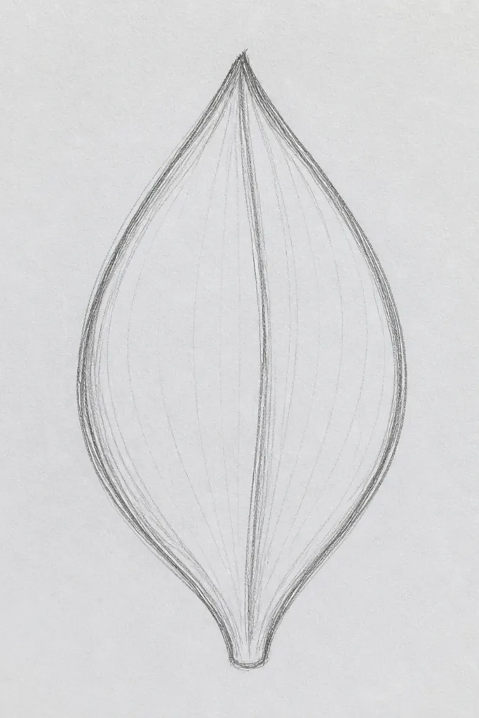 A single lotus petal centered on white paper, drawn with a smooth pointed teardrop outline. A faint center ridge line runs from base to tip, with two short curved vein marks on each side. The shading is a light graphite gradient near the base and stays brighter near the tip.