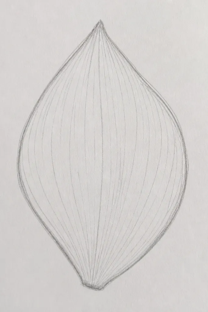 A pencil petal with shading that fans from the tip down to the base. The shading lines follow the petal shape like a fan, with the darkest area at the base lip and lighter strokes toward the tip.