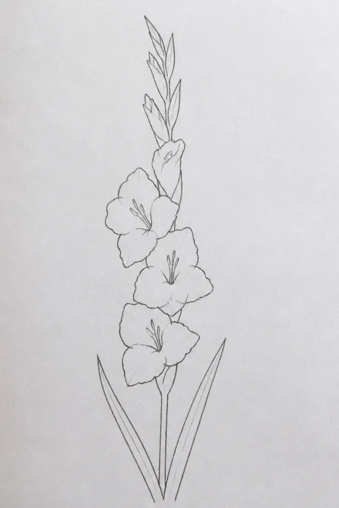 A tall gladiolus drawn with a single repeating pointed petal shape on both sides of a straight, tapered stem; minimal leaf marks at the base and a clean black outline.