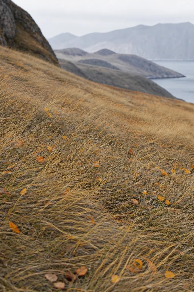 Foreground grass with scattered tiny leaf shapes and specks in orange and ochre, while the blades stay pencil-thin and mostly uniform in direction.