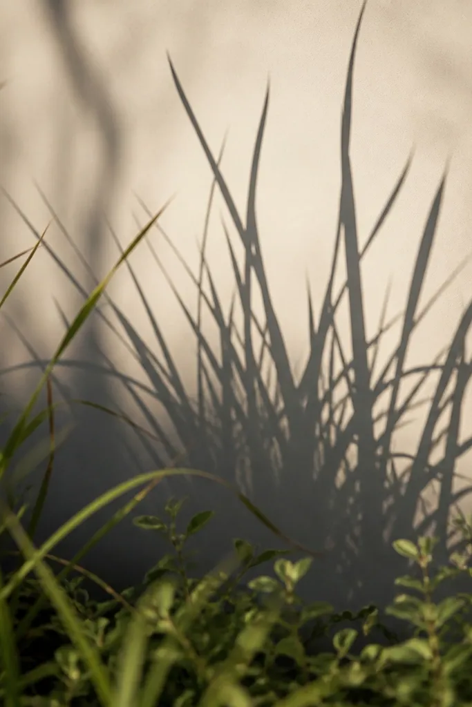 Grass blades with a crisp silhouette shadow shape in the midground, plus small leaf-like marks near the bottom.