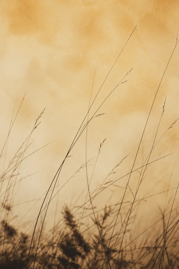 A warm wash background with cotton-like texture, then pencil lines raked across it like grass blades, with dark clumps at the bottom.