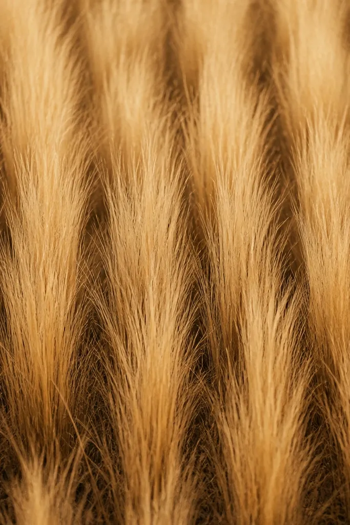 A field of warm sepia vertical stripes where each stripe is a group of grass blades, with darker bases and lighter tops.