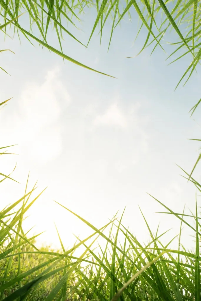 Grass blades along the edges forming a ragged border, with the center left brighter and more open, like a window.