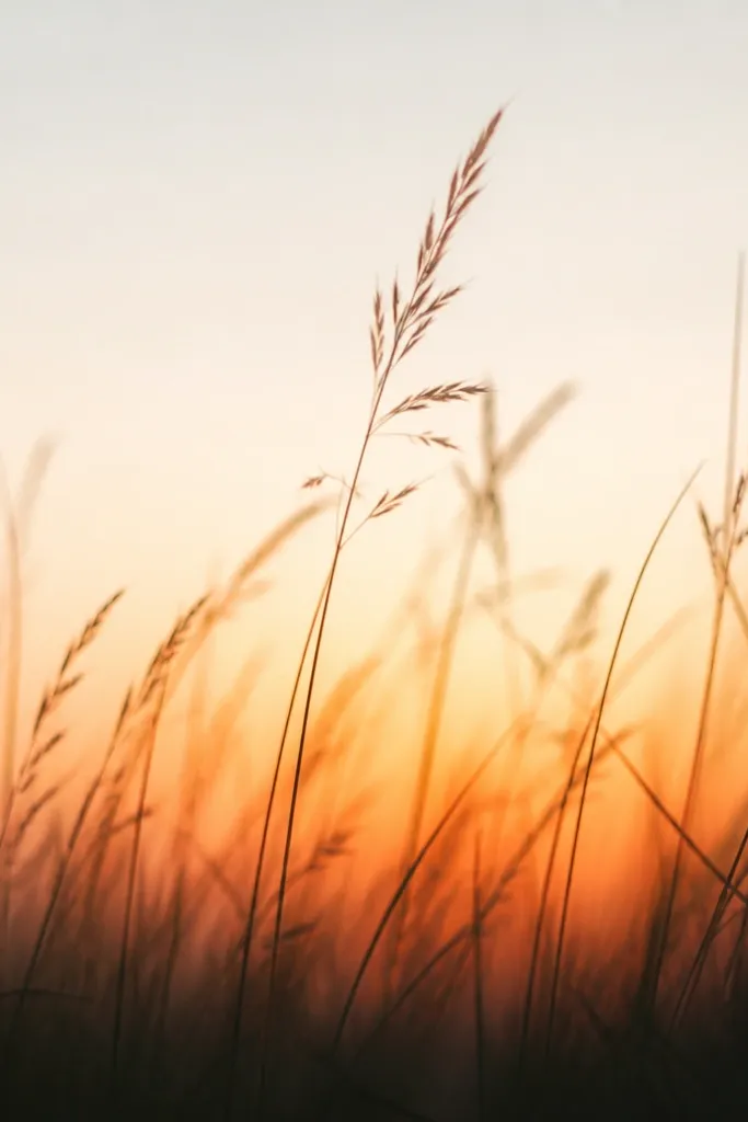 A soft dawn-like warm wash near the bottom with a darker toe at the very bottom edge, and grass blades rising into a pale upper area.