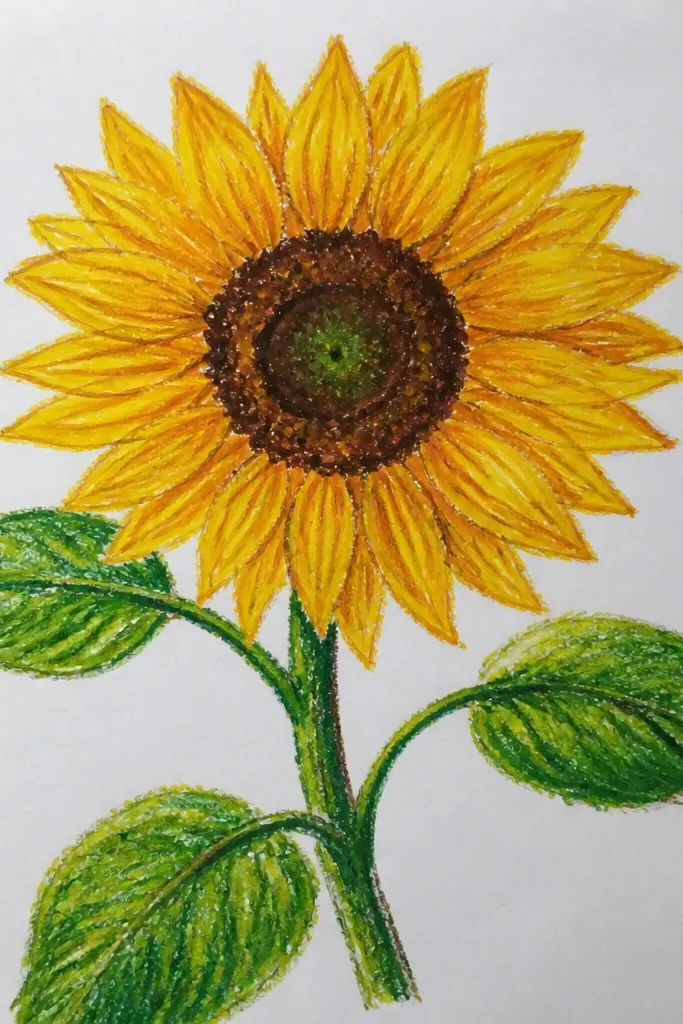 Sunflower with leaves shaded by layered green watercolor ribbons