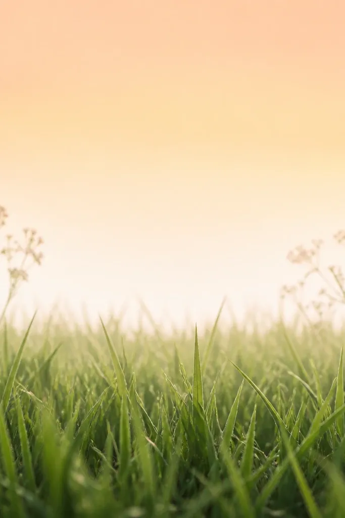 A gradient sky in pale peach and light yellow at the top, fading to milky white near the horizon. Grass blades fill the lower half, with the front blades darker and the back blades lighter. Two small flower clusters appear near the horizon line, one left and one right, drawn with faint outlines.