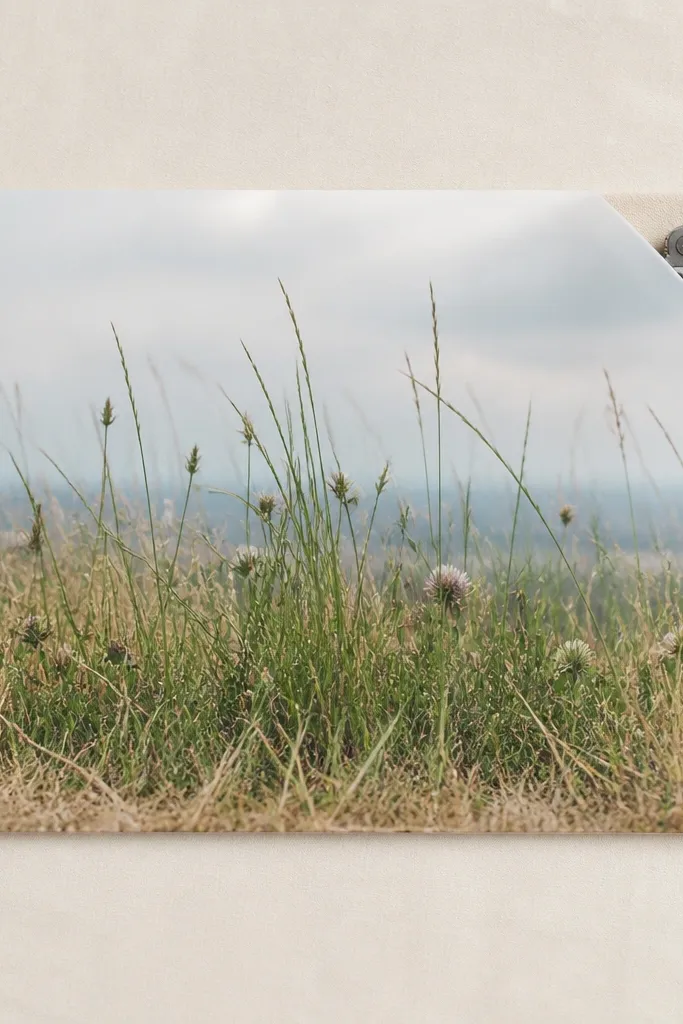 A rectangular print with a meadow border: short, straw-like grass blades along the bottom and longer green blades in the center. One corner of the frame shows a subtle corner pocket opening at the back for small tools.