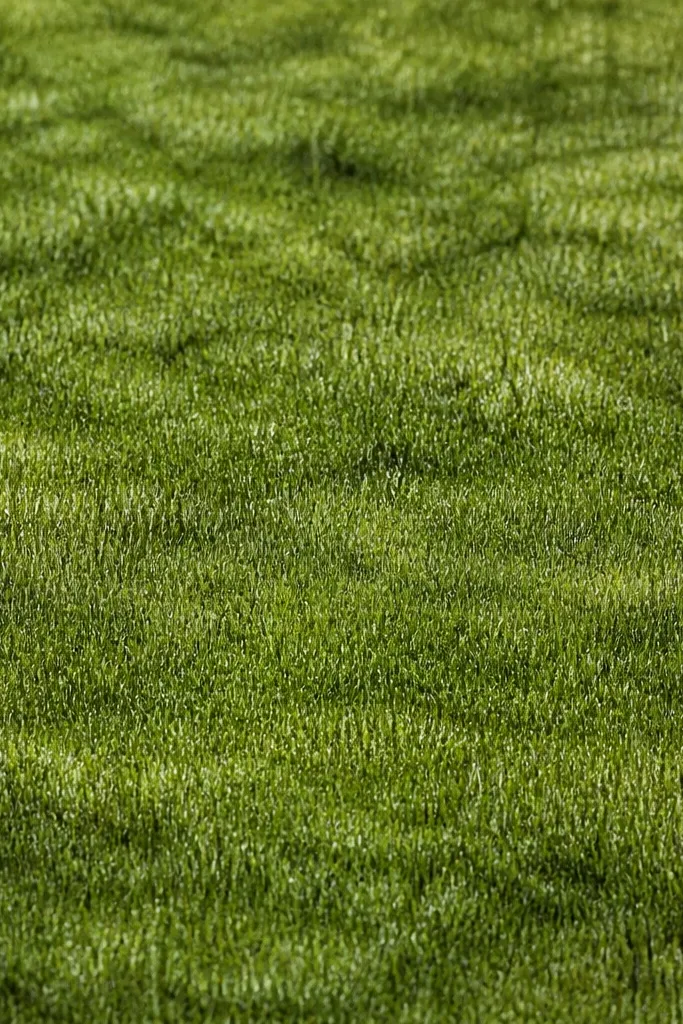 A dense watercolor ground filled with very short, needle-like grass marks. The blades are mostly vertical, with a few darker clusters and lighter highlights.