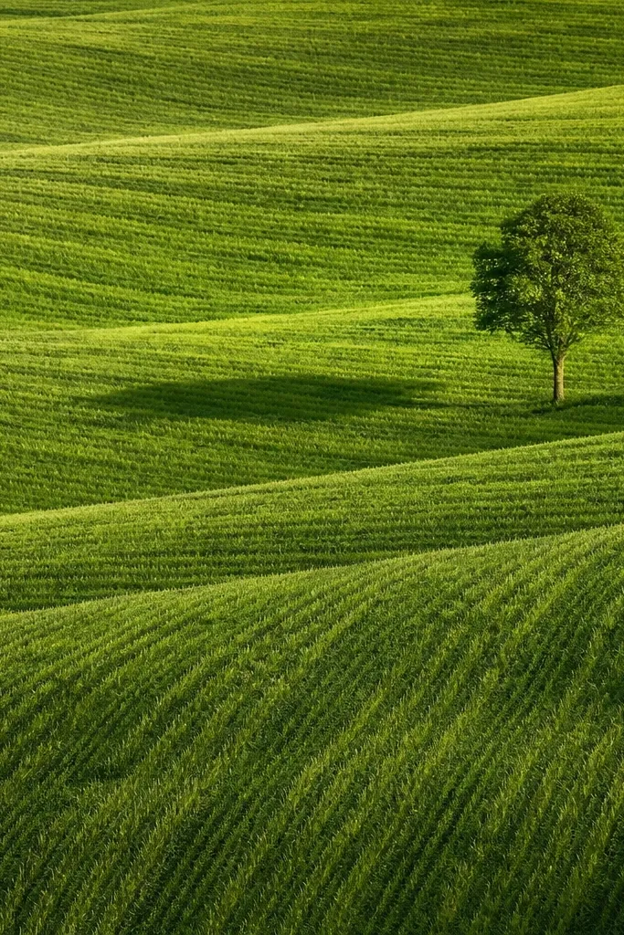Grass drawn as parallel rakes across a field. The strokes are short, with alternating darker and lighter greens that create a combed texture.