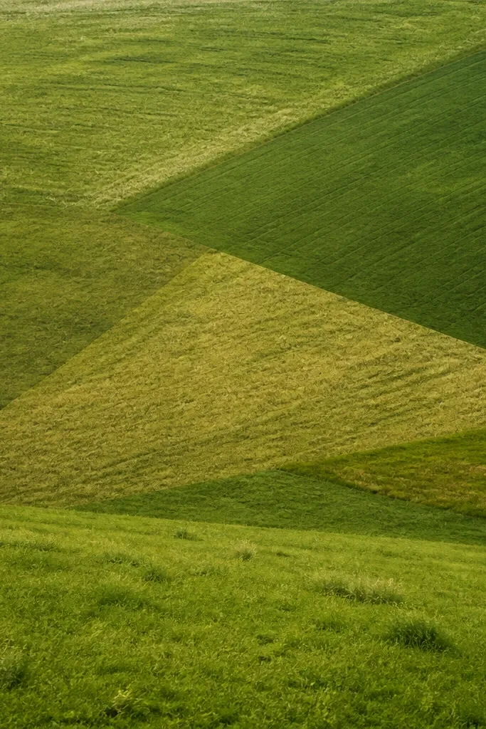 A field with a few triangular patches of grass texture. Each triangle has its own blade direction and color intensity, creating a patchwork meadow.