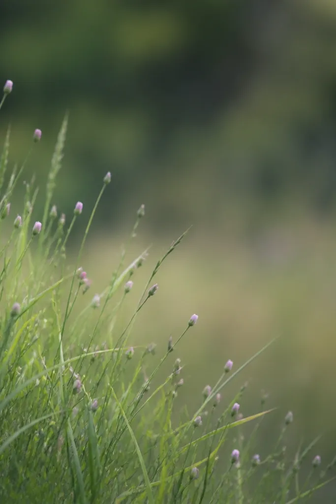 A meadow corner where grass blades are painted in layers and a few tiny bud dots sit among the tops. The buds are small pale pink and light purple marks.