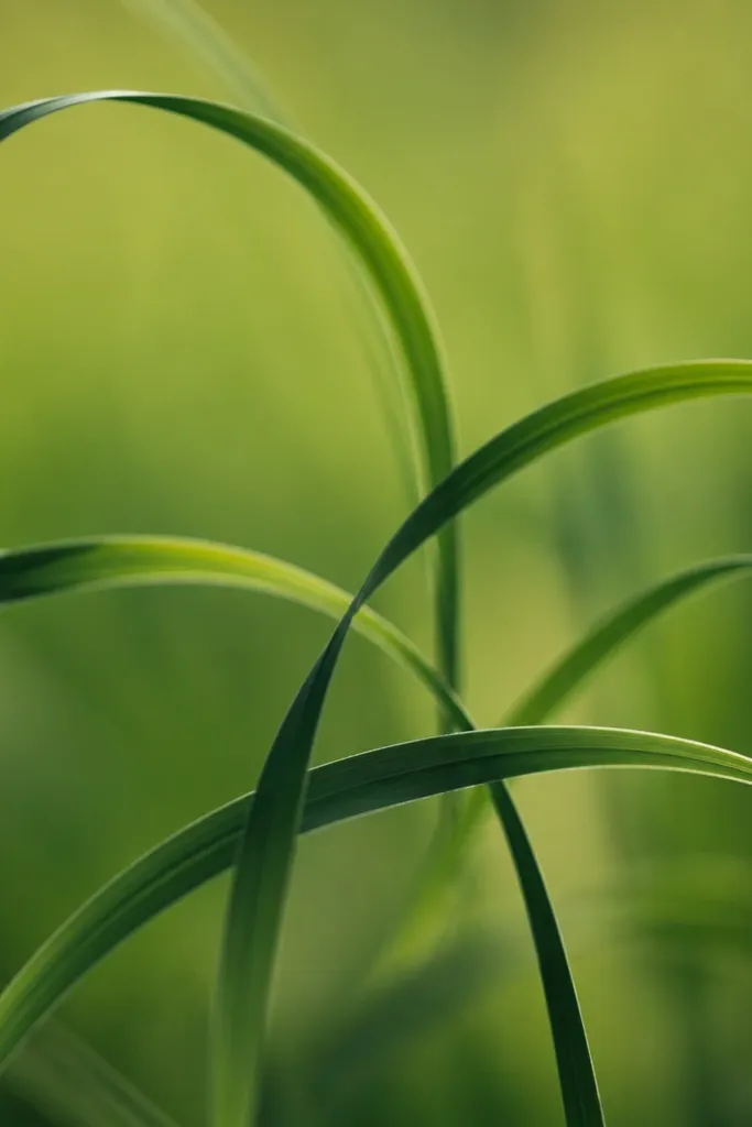 Curved grass strokes that arc like vines across a green background. The blades are darker along the curves and lighter at the edges.