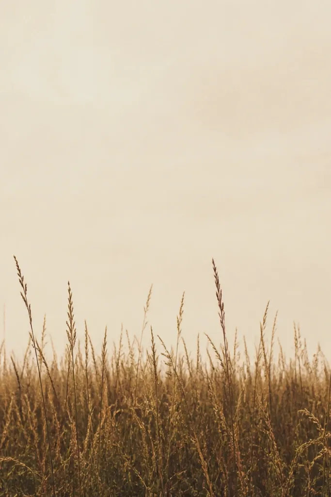 A cream background with a wide strip of grass in the bottom third. The grass blades are mostly burnt umber and muted olive, drawn as short vertical strokes with a few taller tufts reaching upward. The sky area above stays mostly blank with a very faint warm wash.