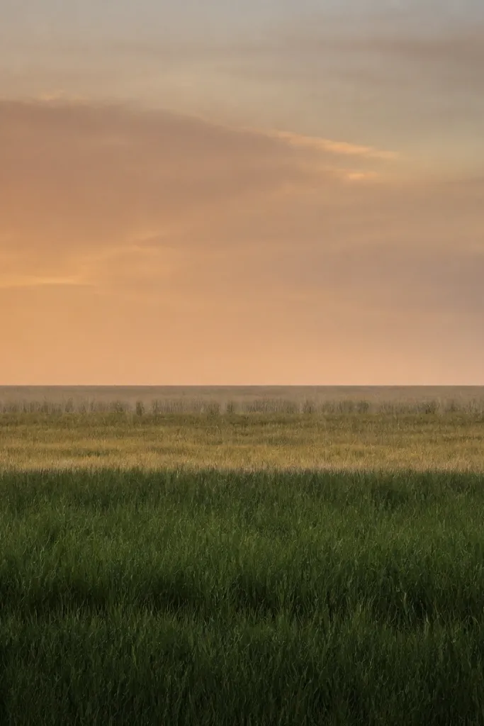 A clean horizon line with three horizontal grass bands. The bottom band is dark green and dense, the middle band is olive with lighter strokes, and the top band is sparse with thin, distant lines. The sky above is a soft orange-gray wash.