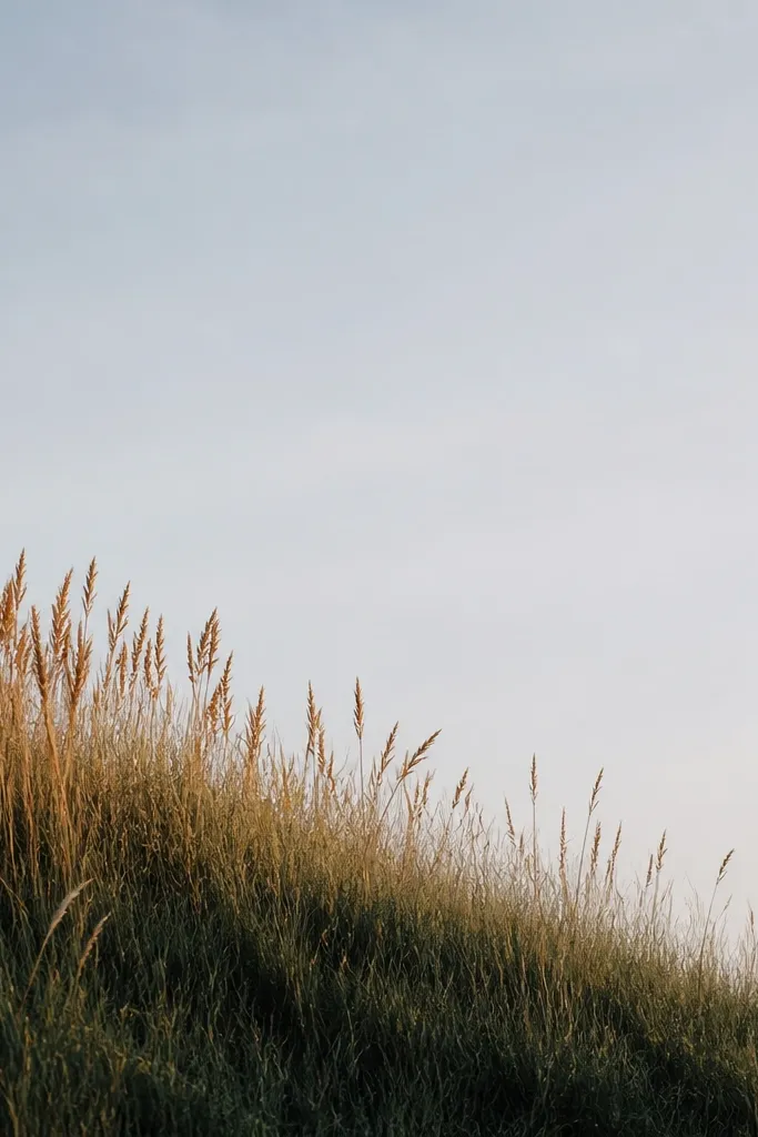 A dark green base at the bottom with a fringe of lighter tan and burnt orange grass blades rising from it. The fringe is denser along the left and fades toward the right. The background is a pale sky with a faint gradient.
