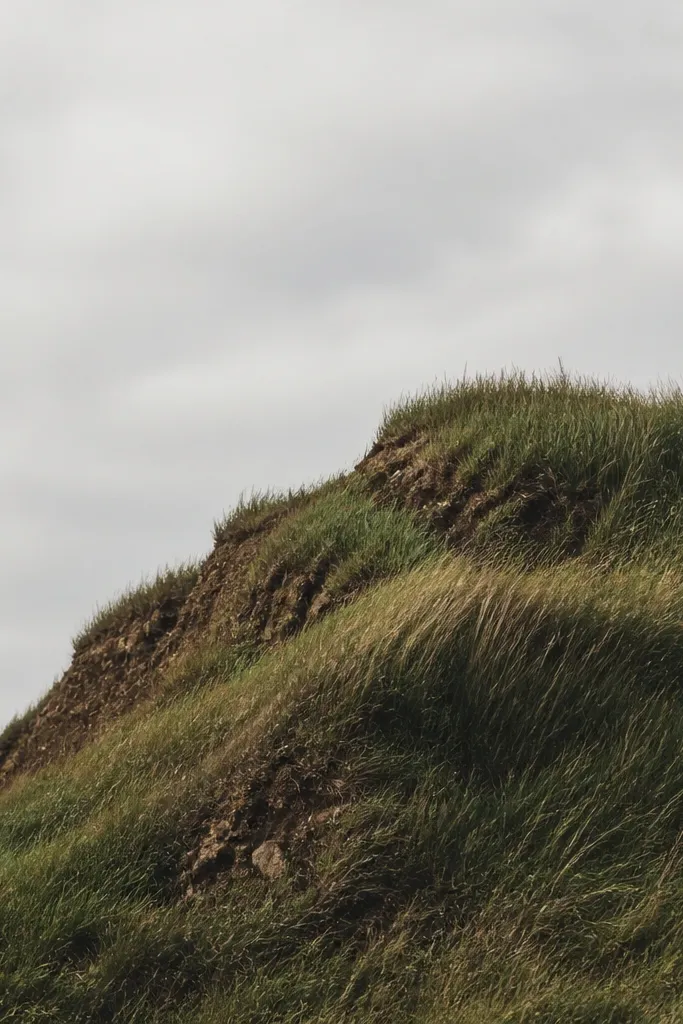A jagged hill shape rising from the bottom, covered in grass blades. The hill edge is uneven and the grass is denser on the hill top and thinner on the slope. Colors are muted green with burnt umber shadows.