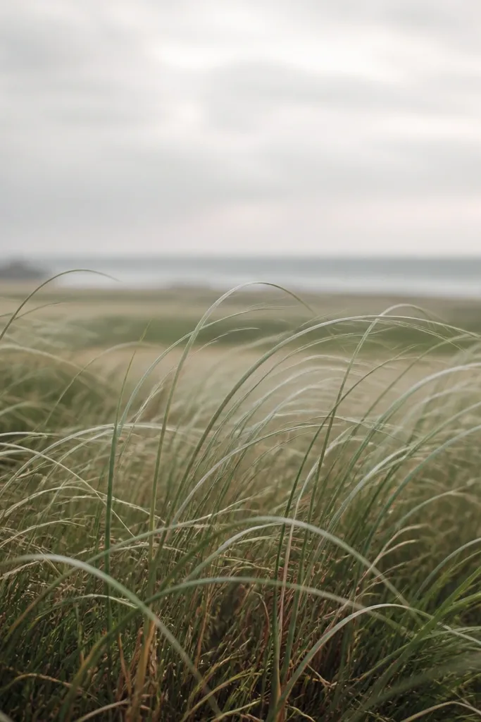 Grass blades that arc and droop slightly, like willow grass. The horizon line is soft and hazy. The field uses muted greens with a few copper-brown highlights near the bottom.