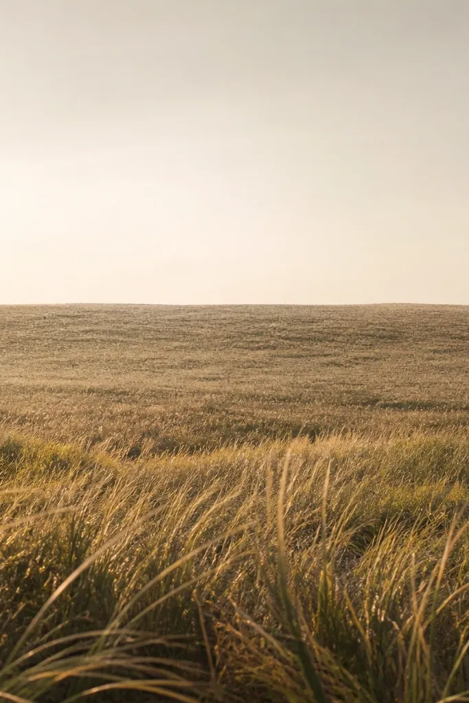 A distant field area above the foreground that looks like tiny speckles and short fine lines. The foreground has stronger, thicker grass strokes. The sky has a muted cream gradient.
