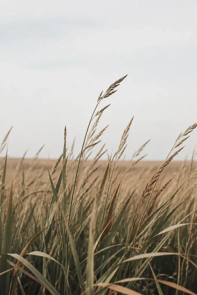 A field where the grass silhouettes look cut-paper crisp. There are clean, sharp negative spaces between blade groups. The grass colors are muted green and warm brown with a pale sky wash above.