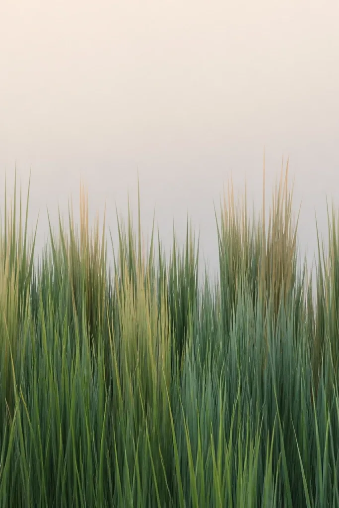 A modern-looking grass field with staggered vertical columns of blades. The columns are alternating heights with muted green, gray-green, and a few tan streaks at the top. The background is a smooth pale gradient.