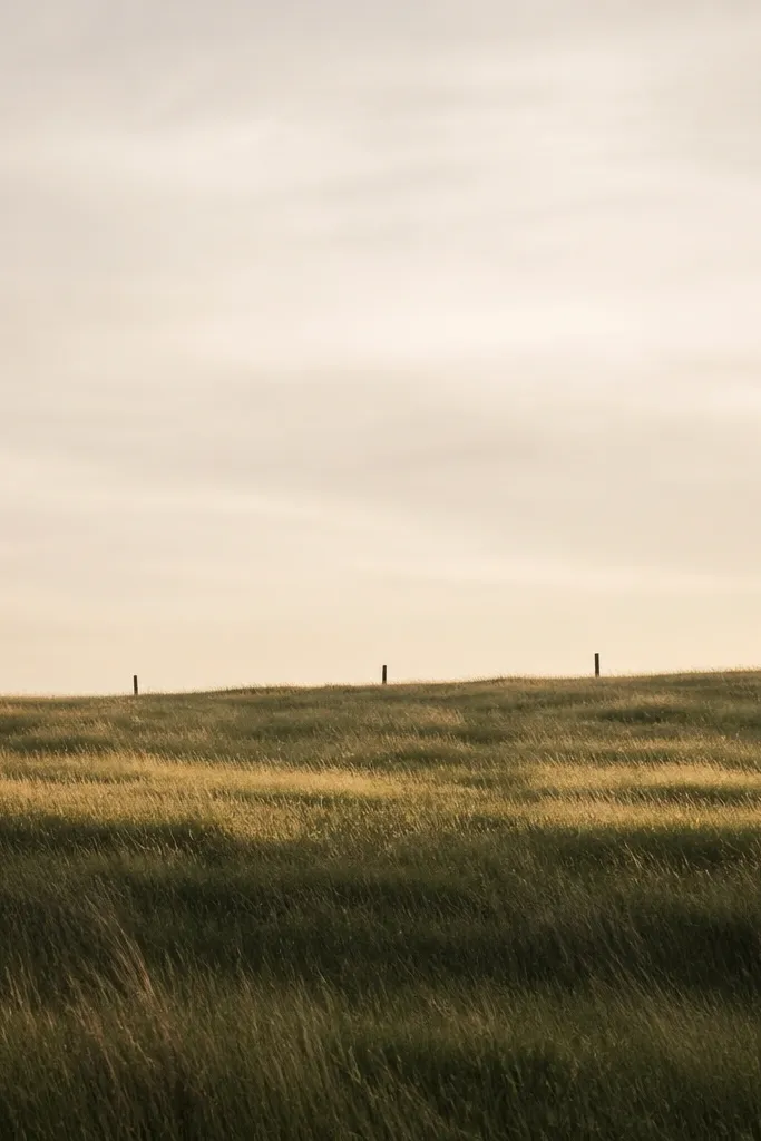 A grass field with a few tiny vertical fence posts sticking up near the horizon. The grass is muted green with brown shadows and pale ochre highlights. The sky is minimal, mostly blank with a soft wash.