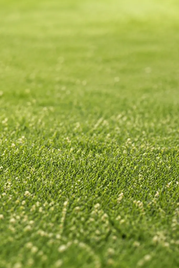 A grass area filled with small specks and tiny dashes, like a speckled lawn. The speck density is highest in the foreground and fades upward, with a few longer blade suggestions.