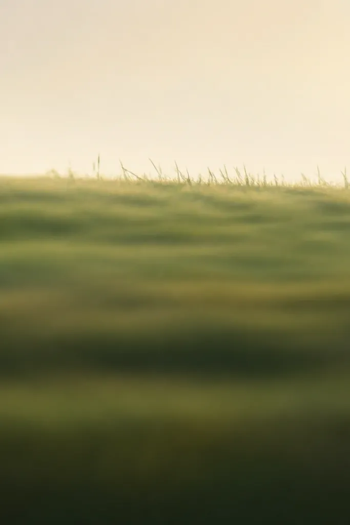 A landscape with soft horizontal smears representing distant grass. The smudges are layered, with a gentle gradient from dark at the bottom to light at the top. A few sharp blades sit on the far edge for contrast.