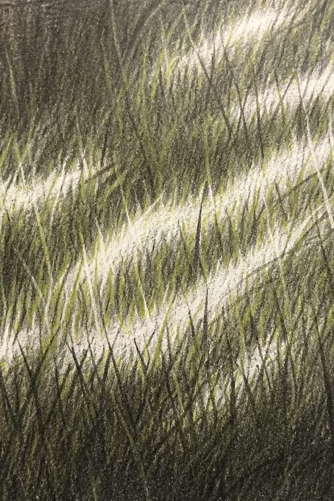 A mixed-media drawing where white crayon lines look like sunlight streaks inside a field of shaded grass. The grass blades are drawn with pencil over the waxy highlights, and the highlights stay bright.