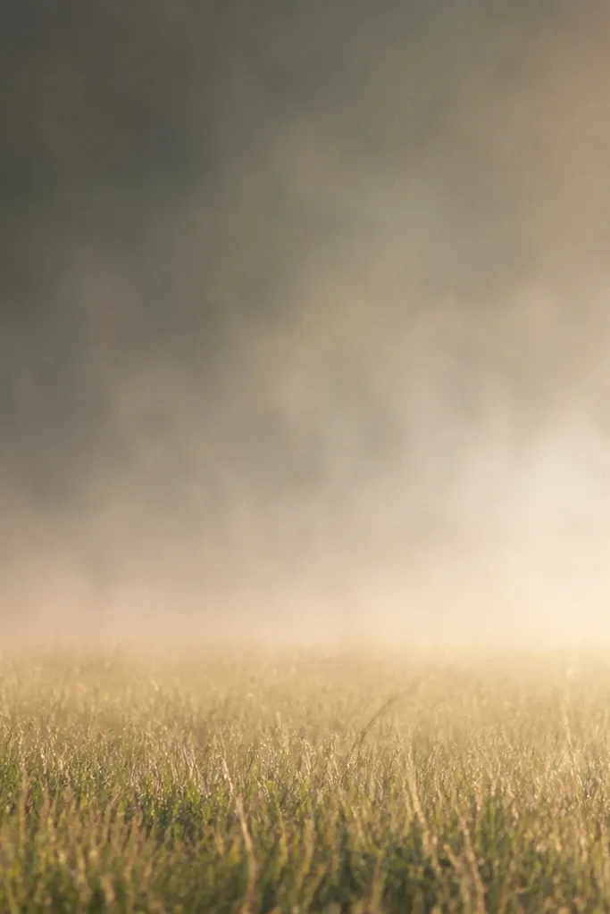 A hazy grass area with a soft gradient and subtle dust clouds. There are faint blade suggestions at the bottom, while the middle fades into a smooth smoky texture.