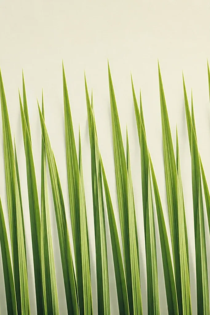 A tall-grass drawing that looks engineered: evenly spaced blades rising from the bottom with consistent angles. The background is minimal and light, and the grass has clear highlight edges and subtle shadow tones. Faint grid lines are visible only near the edges.