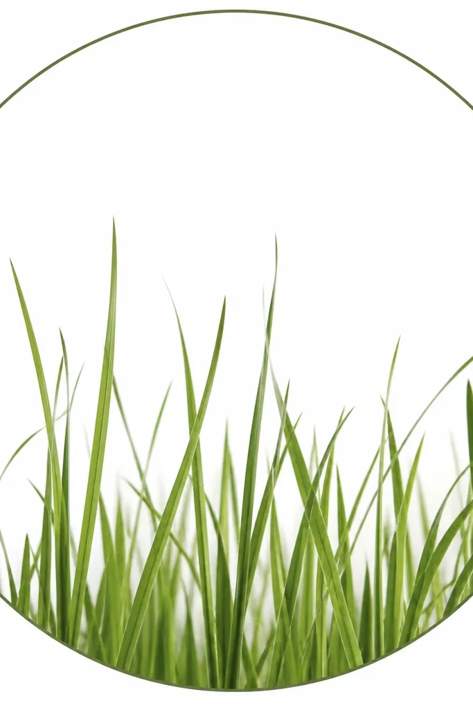 A thin circle outline with grass blades emerging upward from the bottom inside the circle, leaving the circle interior mostly white around the blades.