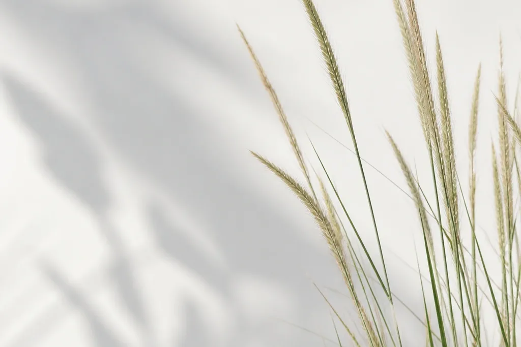 Modern Minimalist Grass Drawing