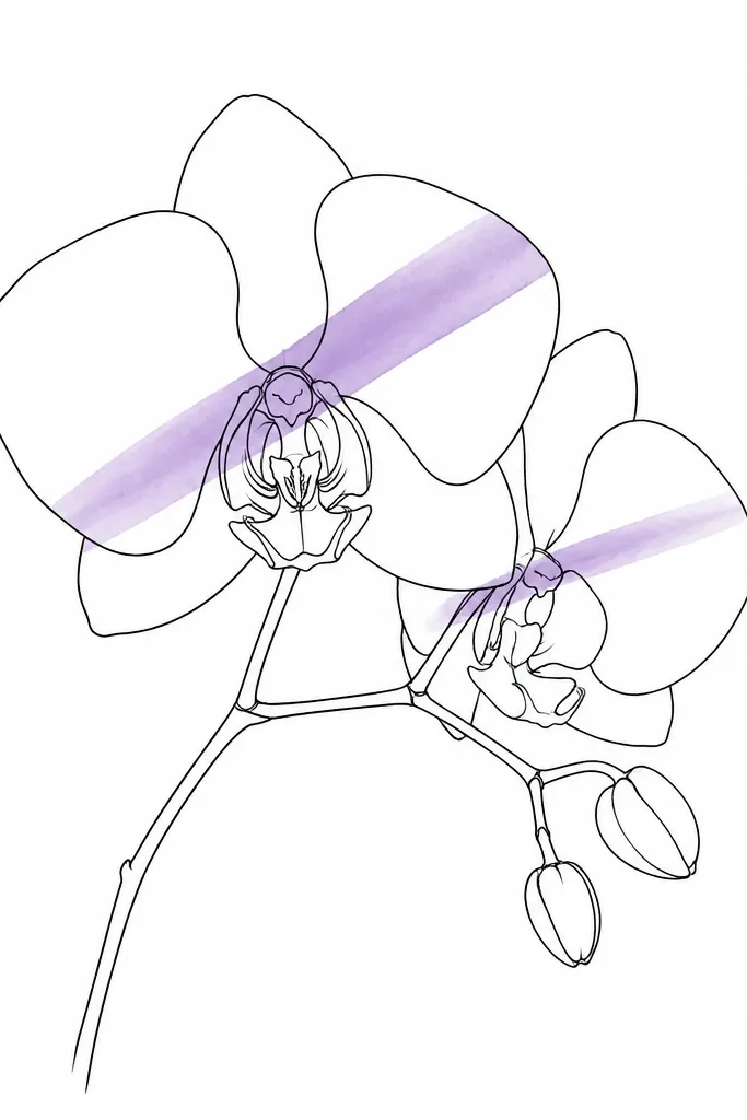 A mostly black monoline orchid drawing. The petals are outlined with fine ink lines, and there is only one diagonal purple wash stripe across the petals. The background is white and clean with no other shading.
