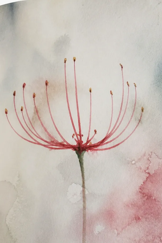 A close-up study centered on the spider lily core. The petals are mostly absent. The image shows a dense fan of stamens in varying line lengths and weights, with a few dark seed-like marks in the center.