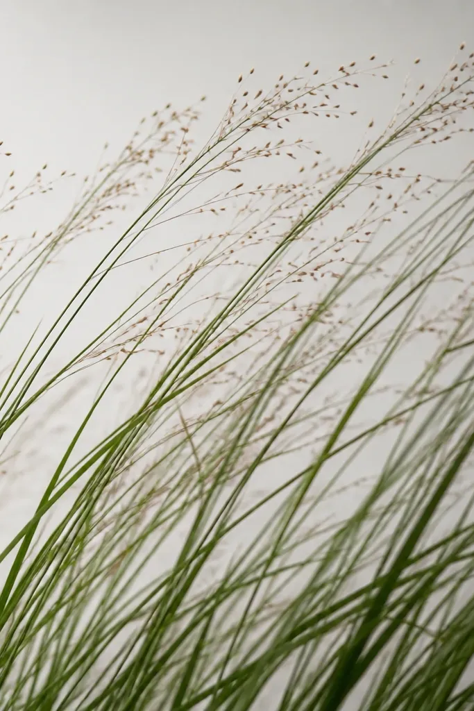 Grass blades run diagonally upward across a panel, all leaning the same direction like wind. Seed dots cluster along the upper edge.